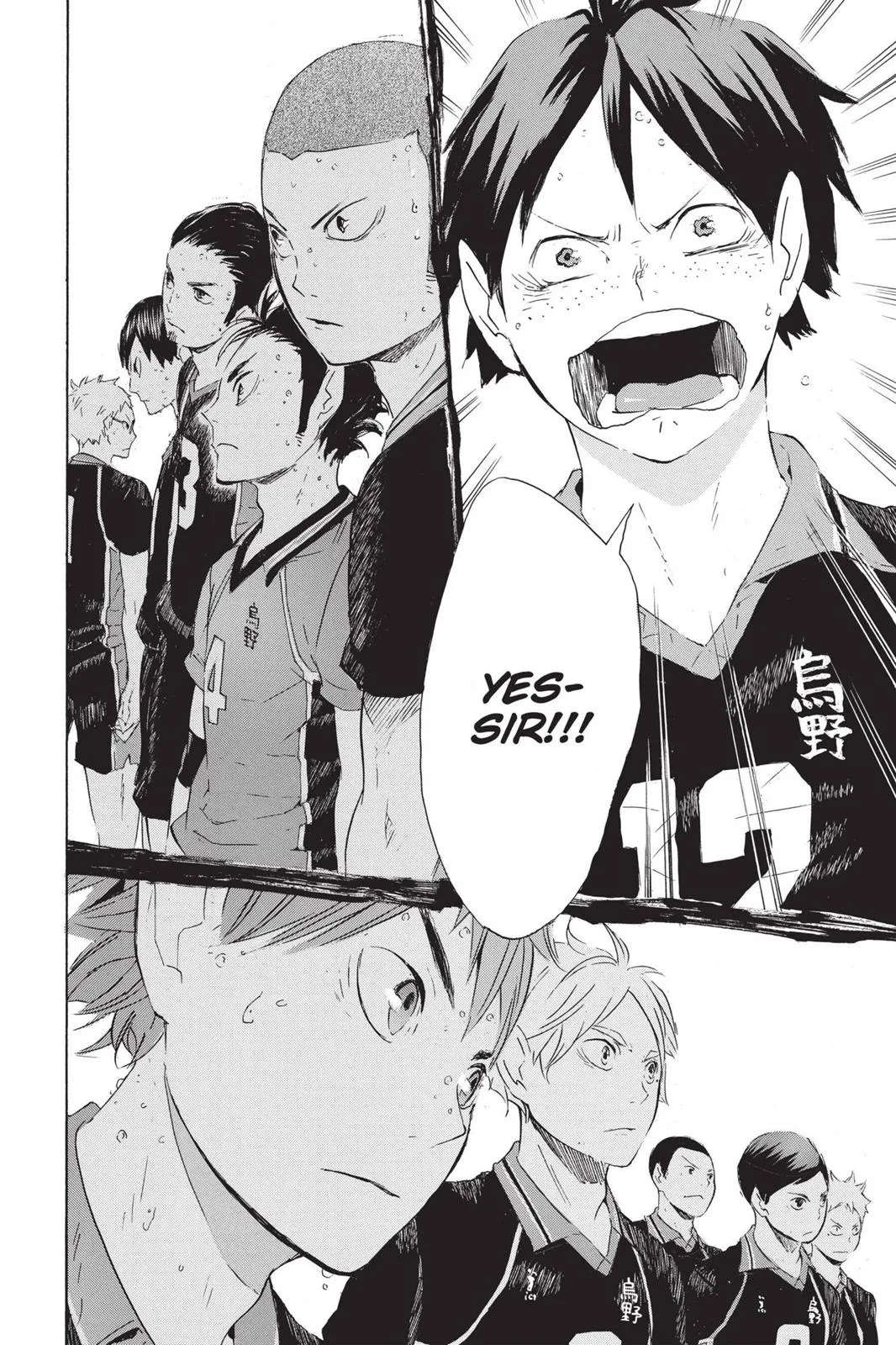 Read Haikyu!! EN Manga Online