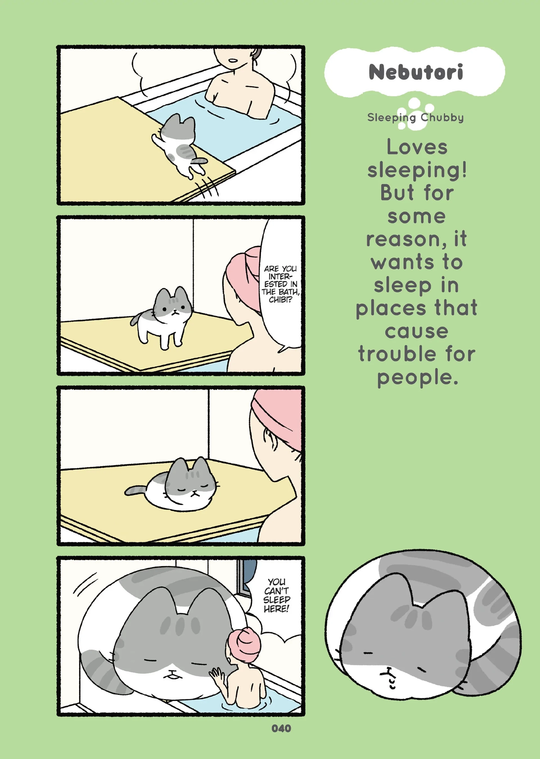 Read Neko Youkai EN Manga Online