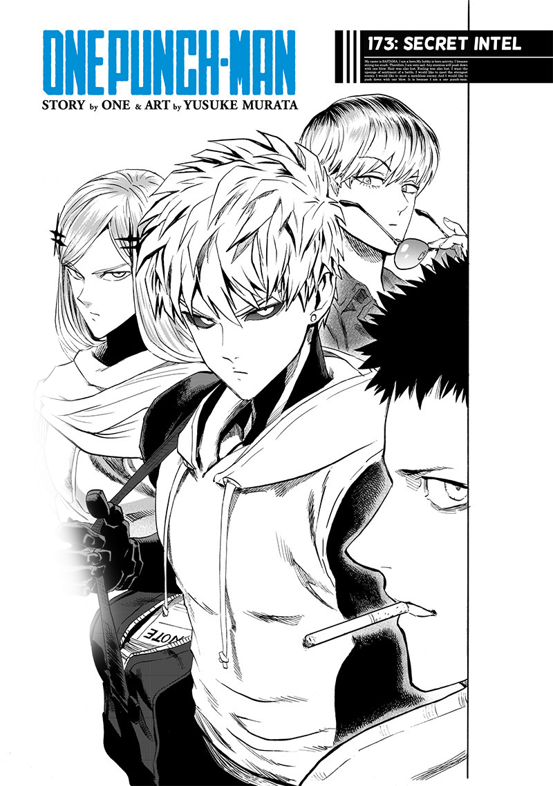 Read One-Punch Man EN Manga Online