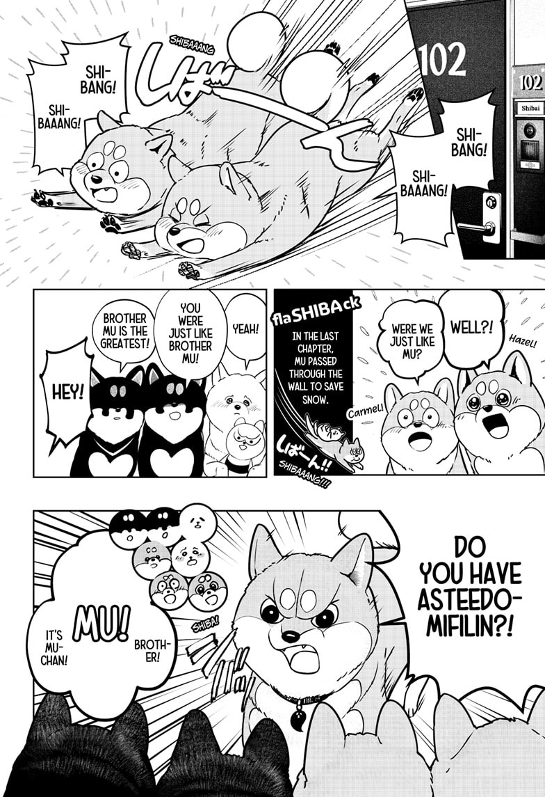 Read Shiba Inu Rooms EN Manga Online