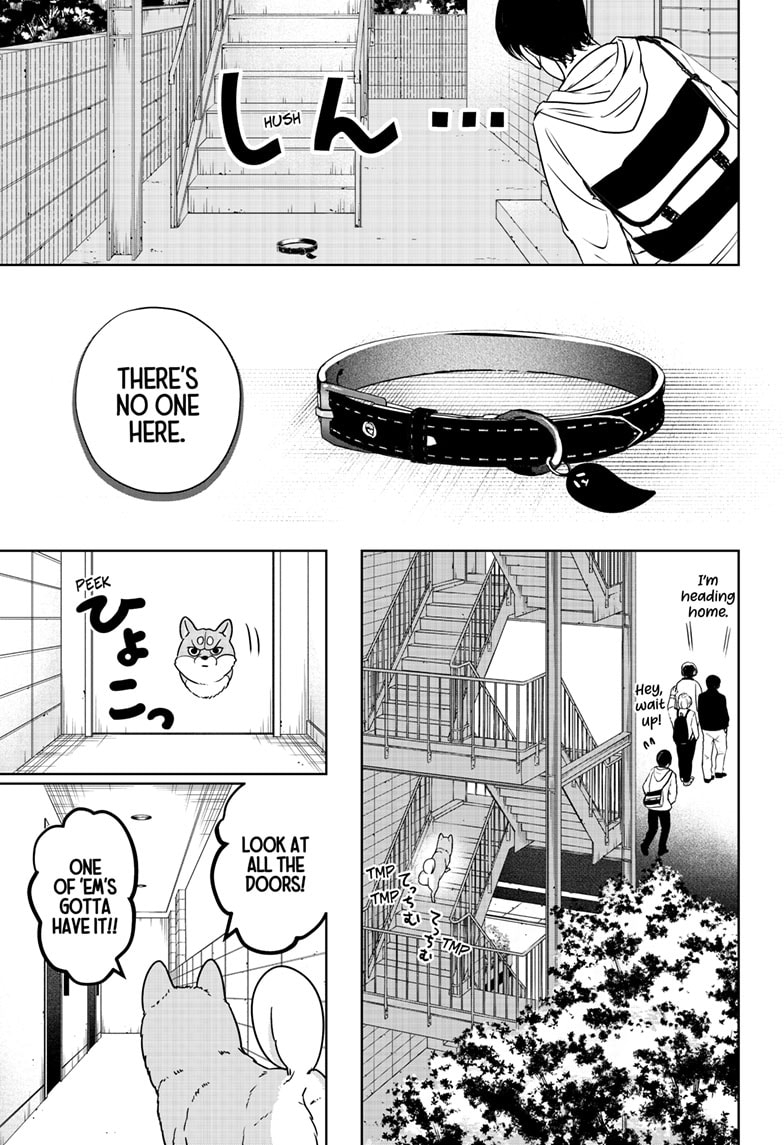 Read Shiba Inu Rooms EN Manga Online