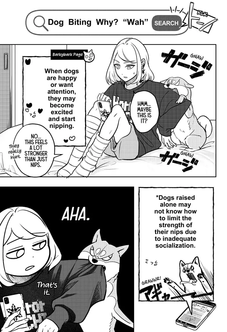 Read Shiba Inu Rooms EN Manga Online
