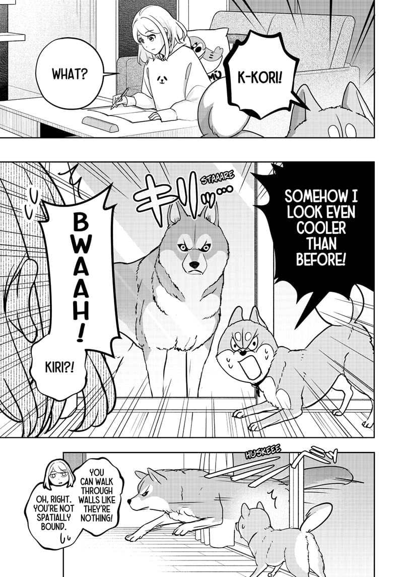 Read Shiba Inu Rooms EN Manga Online