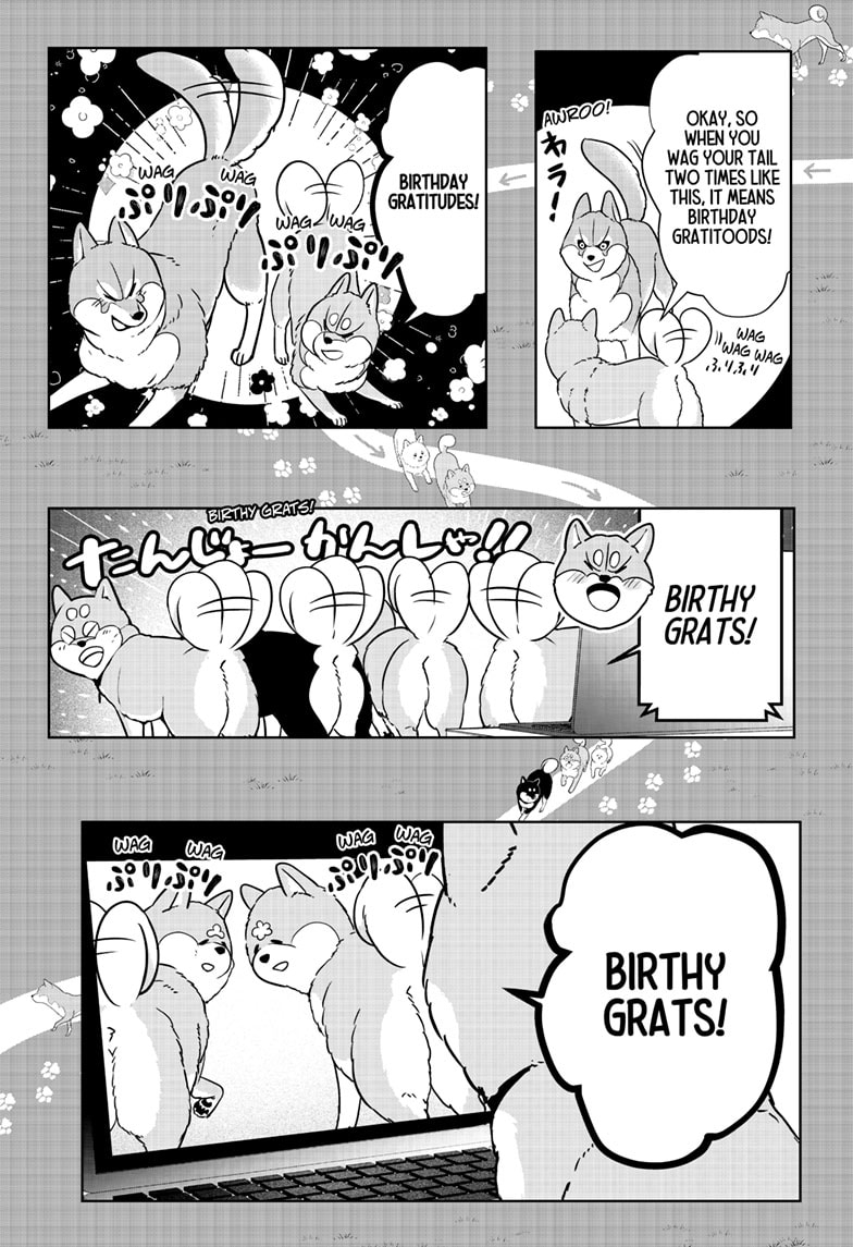 Read Shiba Inu Rooms EN Manga Online