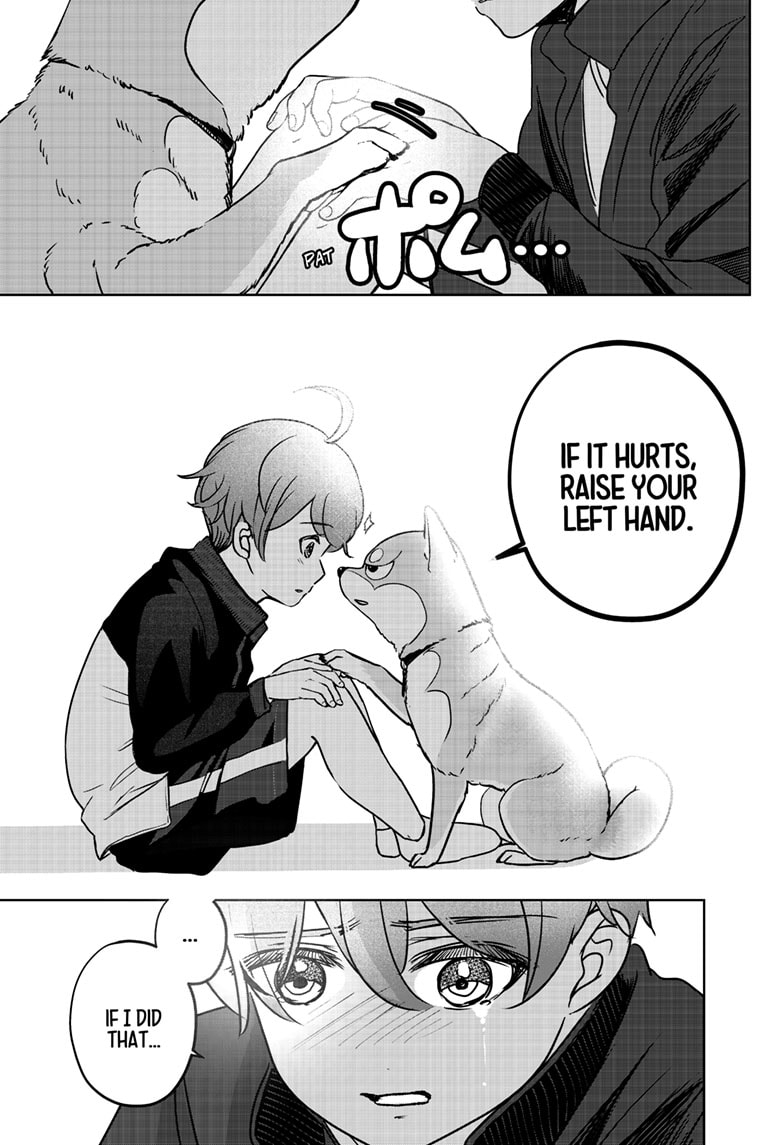 Read Shiba Inu Rooms EN Manga Online