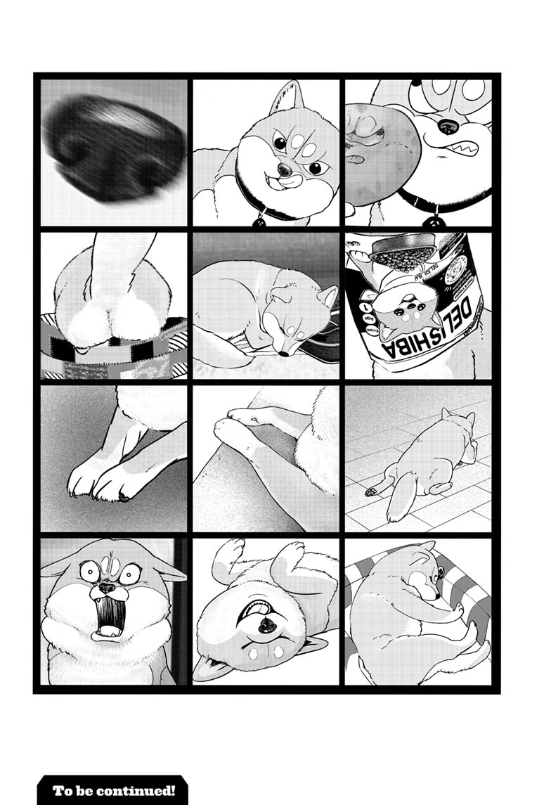 Read Shiba Inu Rooms EN Manga Online