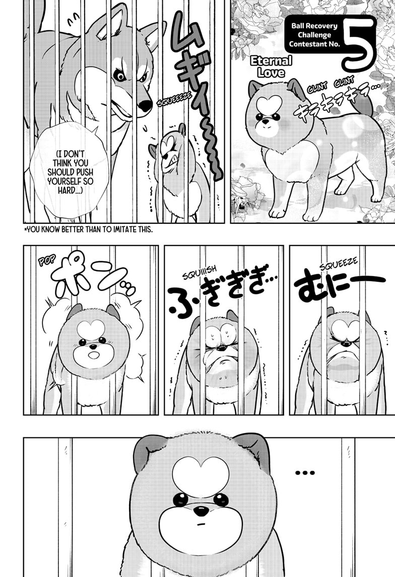 Read Shiba Inu Rooms EN Manga Online