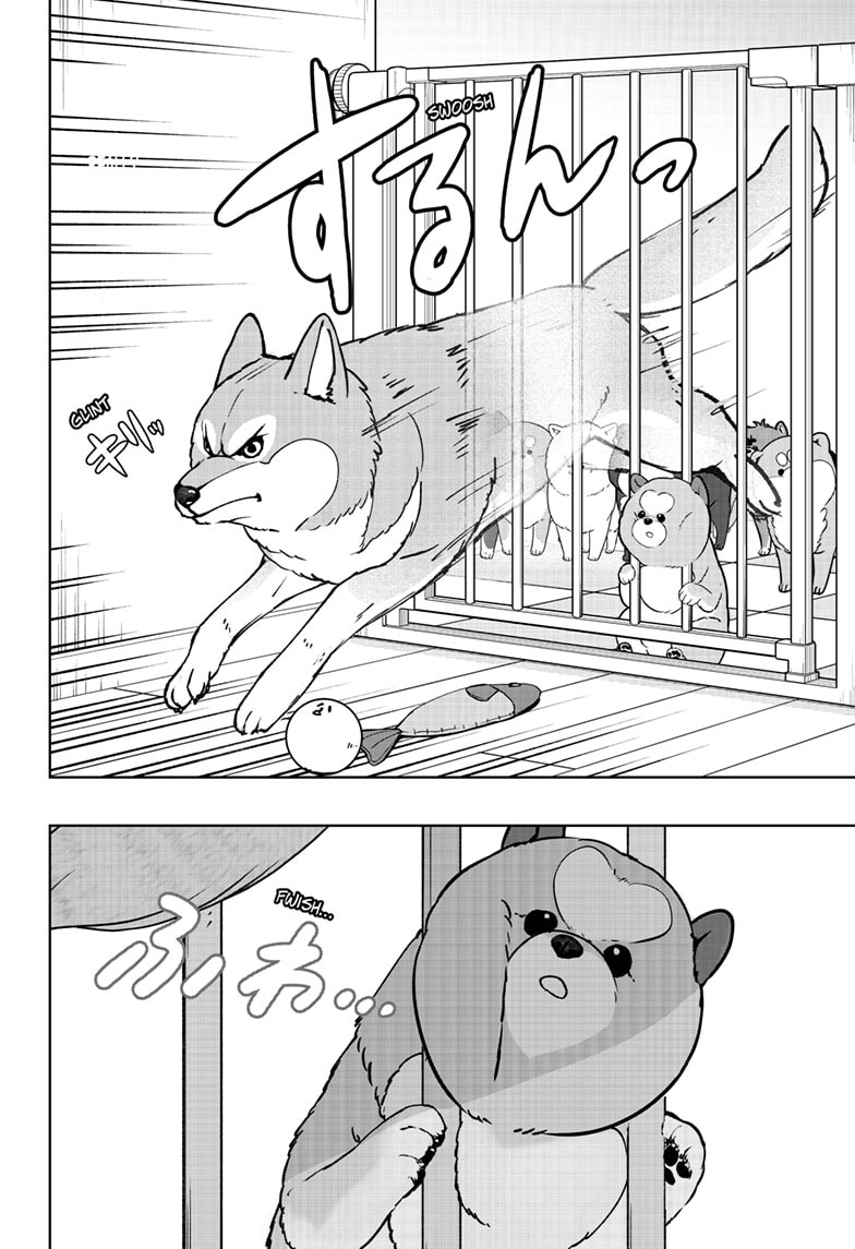 Read Shiba Inu Rooms EN Manga Online