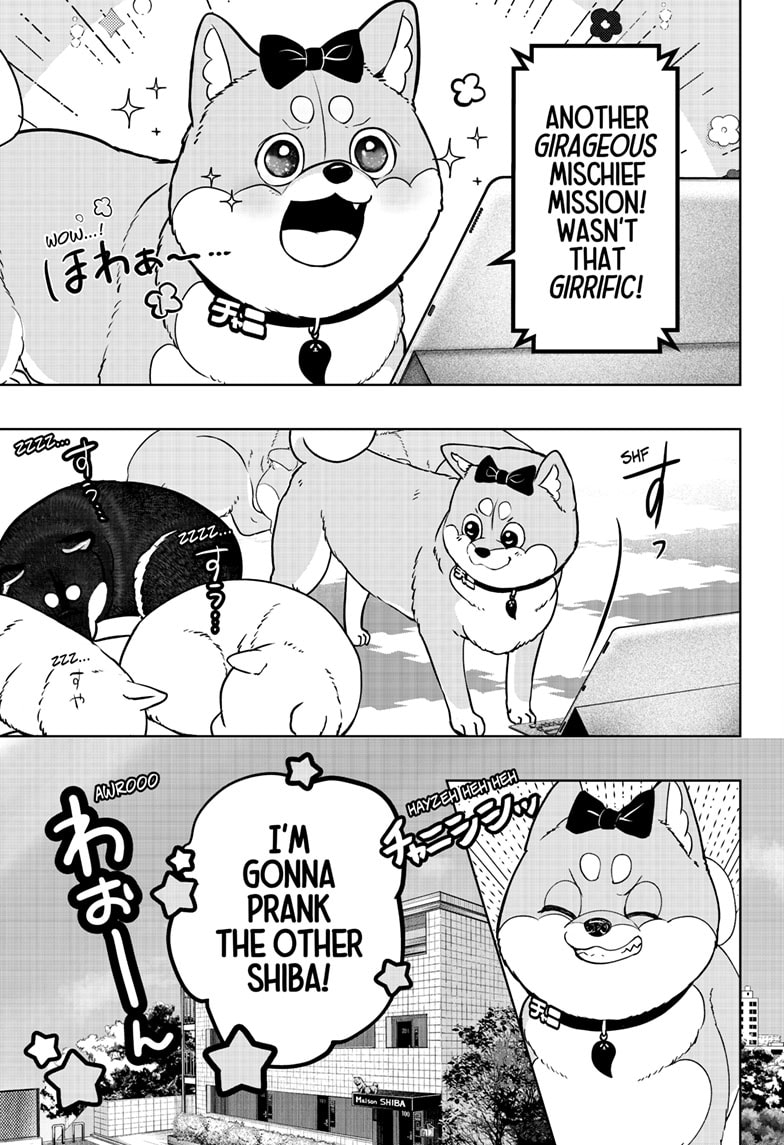 Read Shiba Inu Rooms EN Manga Online