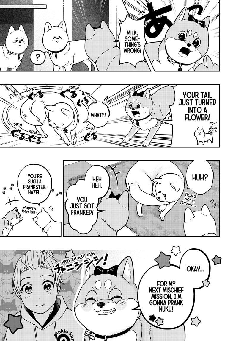 Read Shiba Inu Rooms EN Manga Online