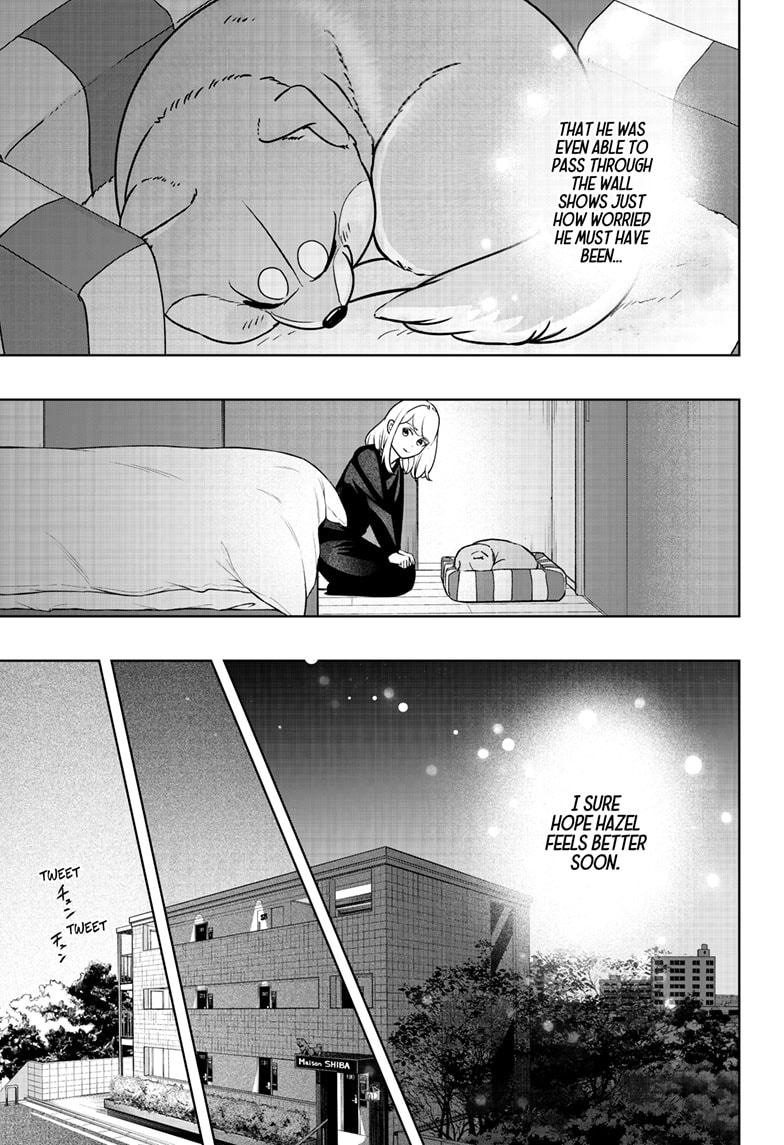 Read Shiba Inu Rooms EN Manga Online