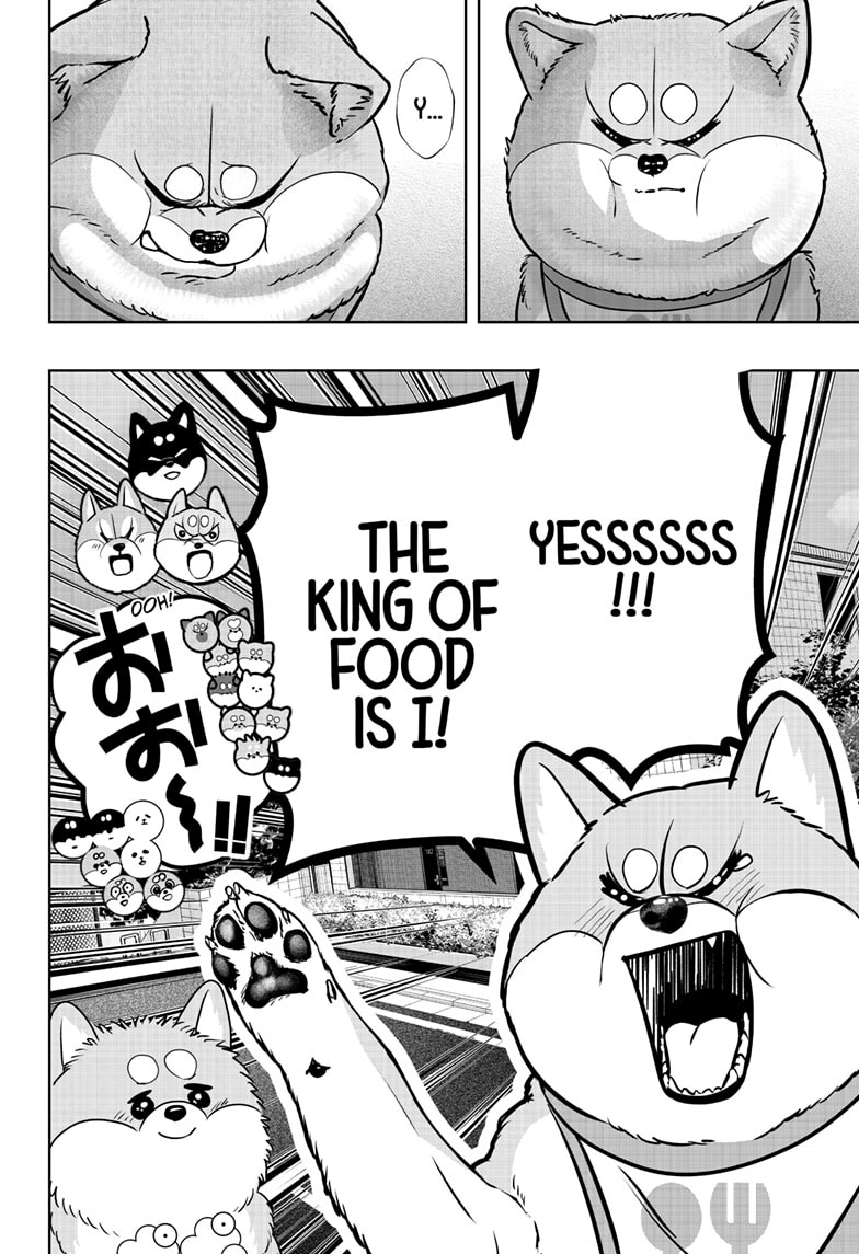 Read Shiba Inu Rooms EN Manga Online