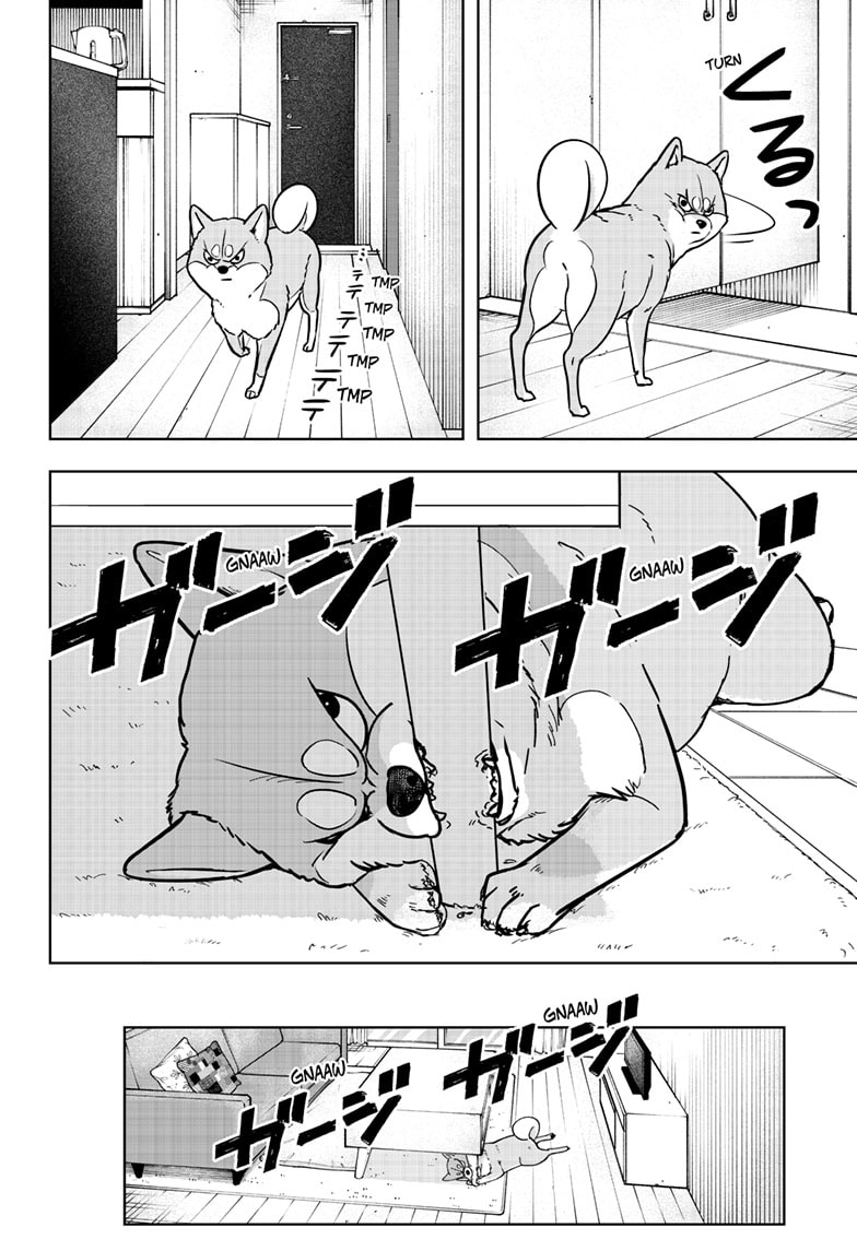 Read Shiba Inu Rooms EN Manga Online