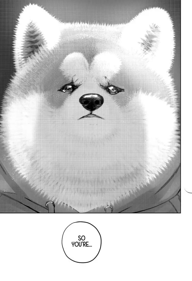 Read Shiba Inu Rooms EN Manga Online