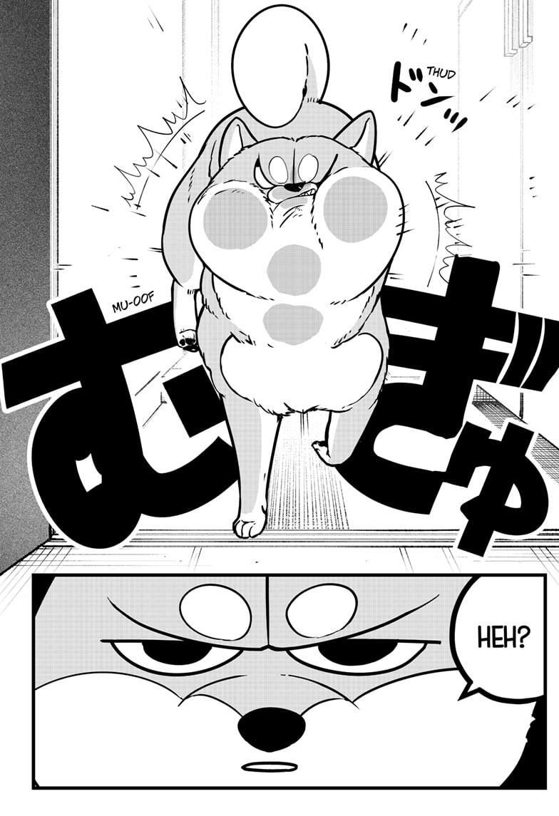 Read Shiba Inu Rooms EN Manga Online