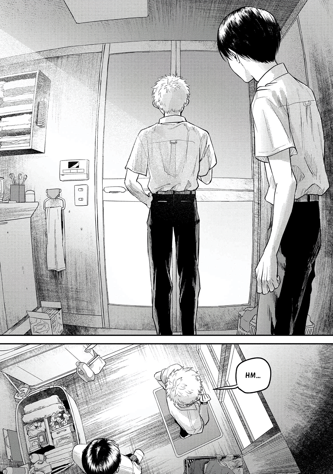 Read The Summer Hikaru Died EN Manga Online