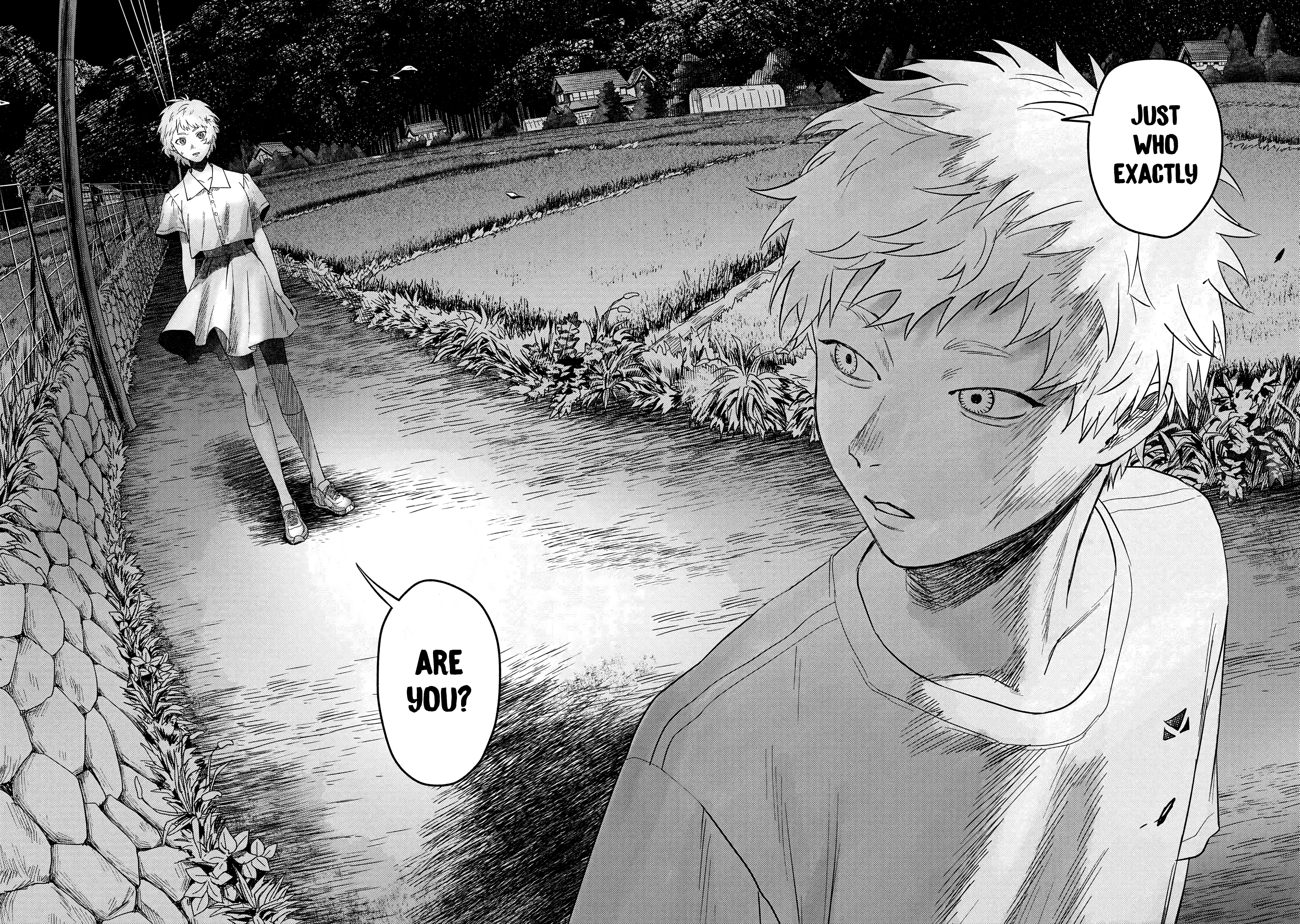 Read The Summer Hikaru Died EN Manga Online