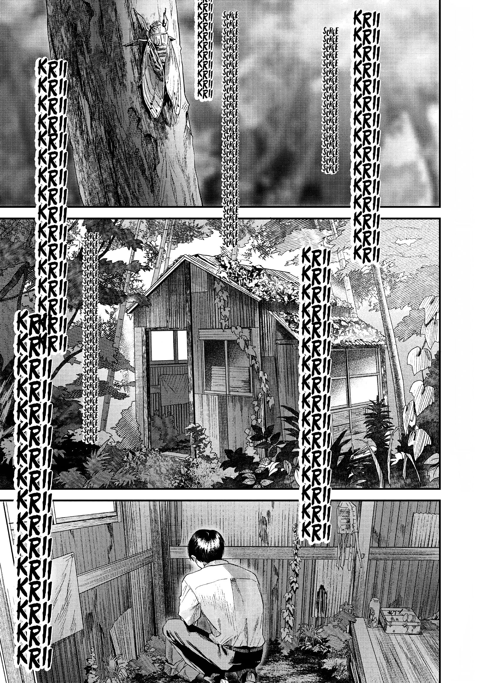 Read The Summer Hikaru Died EN Manga Online