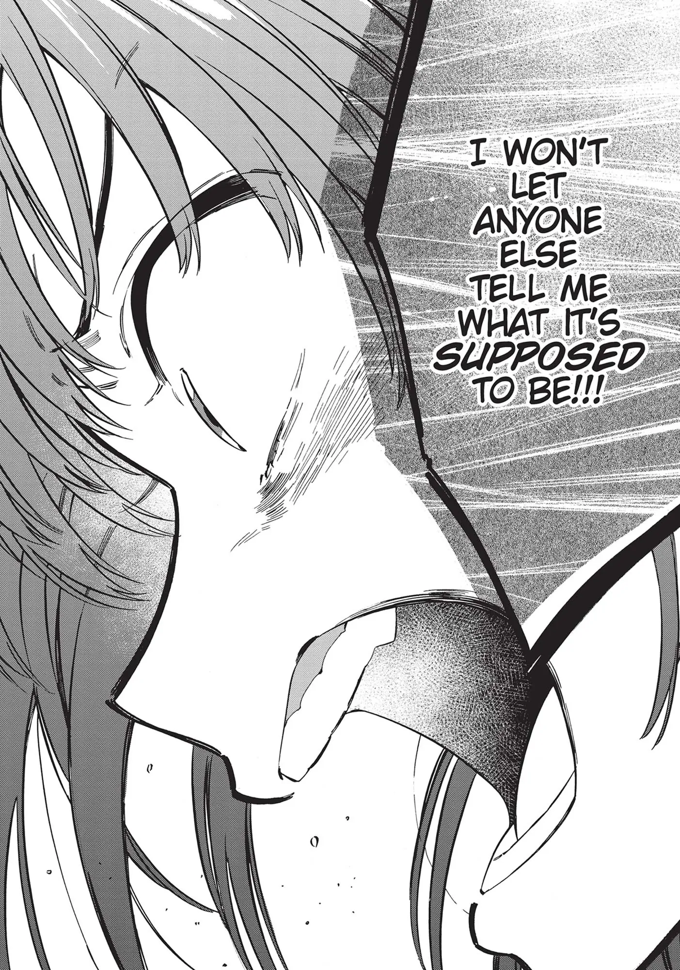 Read Toradora EN Manga Online