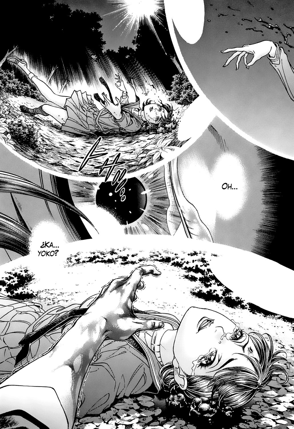 Read Battle Royale ES Manga Online