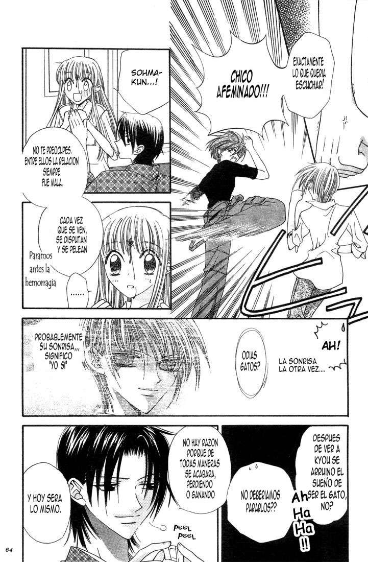 Read Fruits Basket ES Manga Online