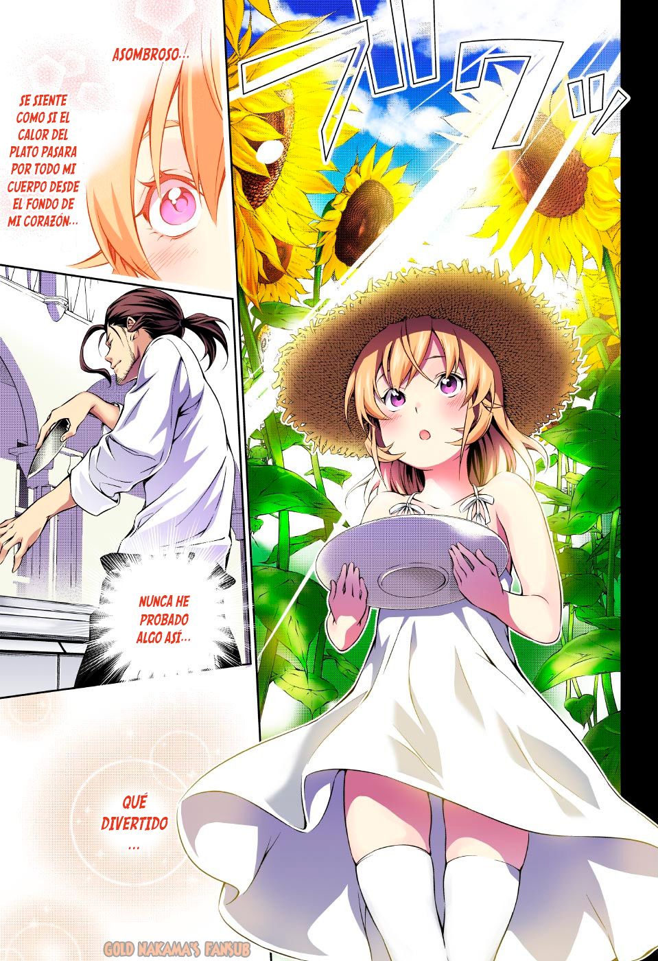 Read Shokugeki no Soma ES Manga Online