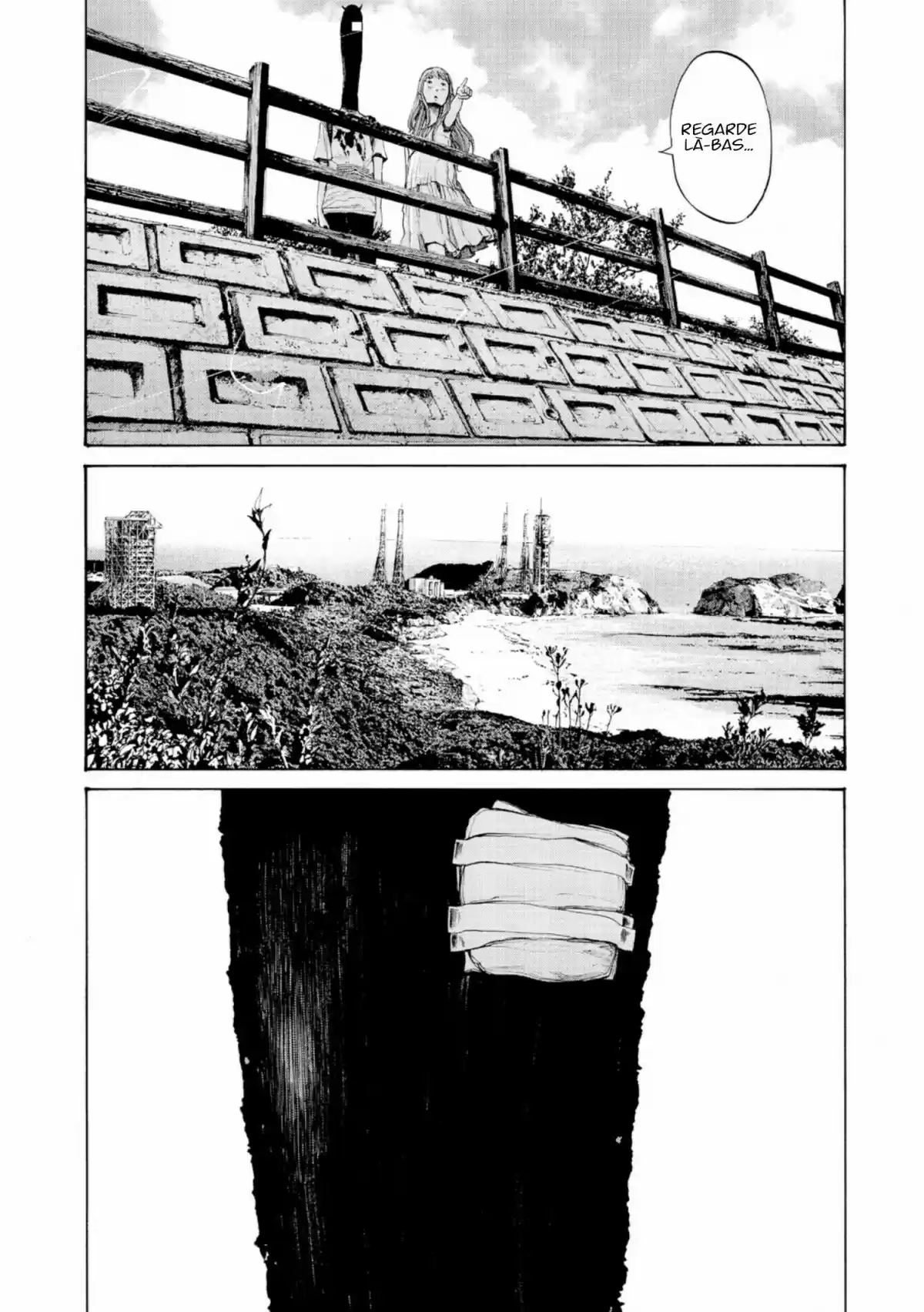 Read Bonne Nuit Punpun FR Manga Online