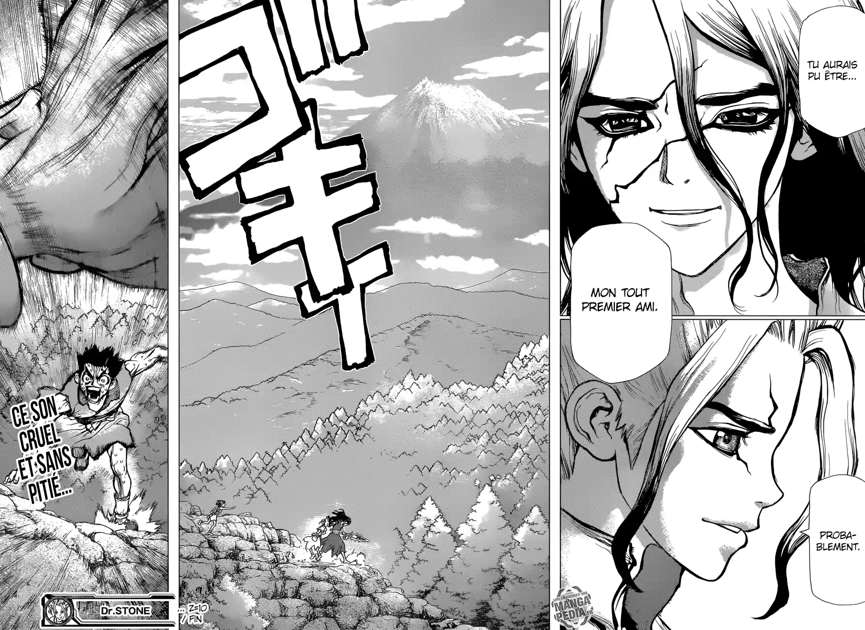 Read Dr. Stone FR Manga Online