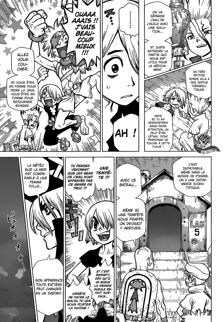 Read Dr. Stone FR Manga Online