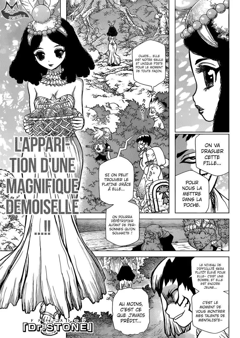 Read Dr. Stone FR Manga Online