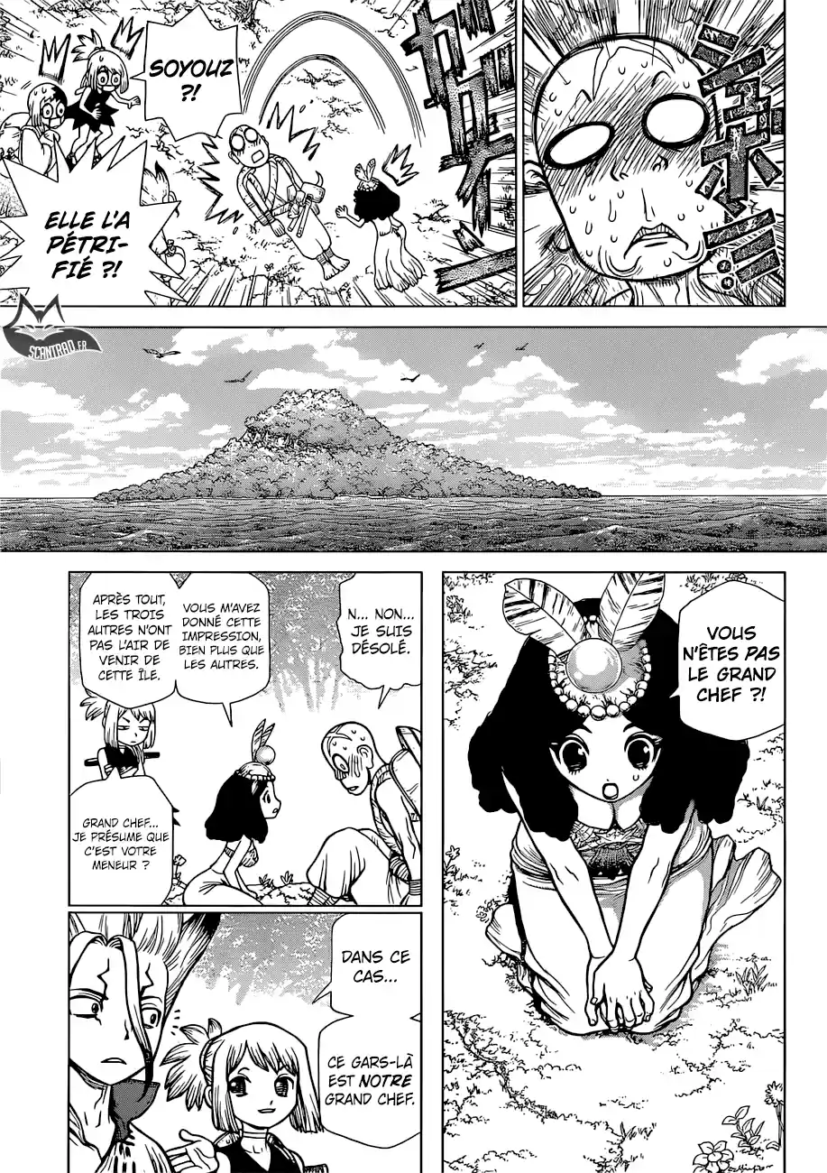 Read Dr. Stone FR Manga Online
