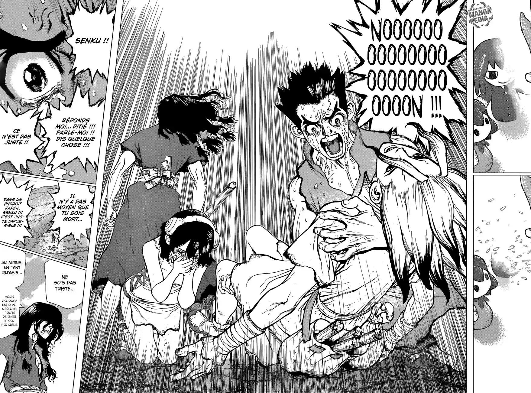 Read Dr. Stone FR Manga Online