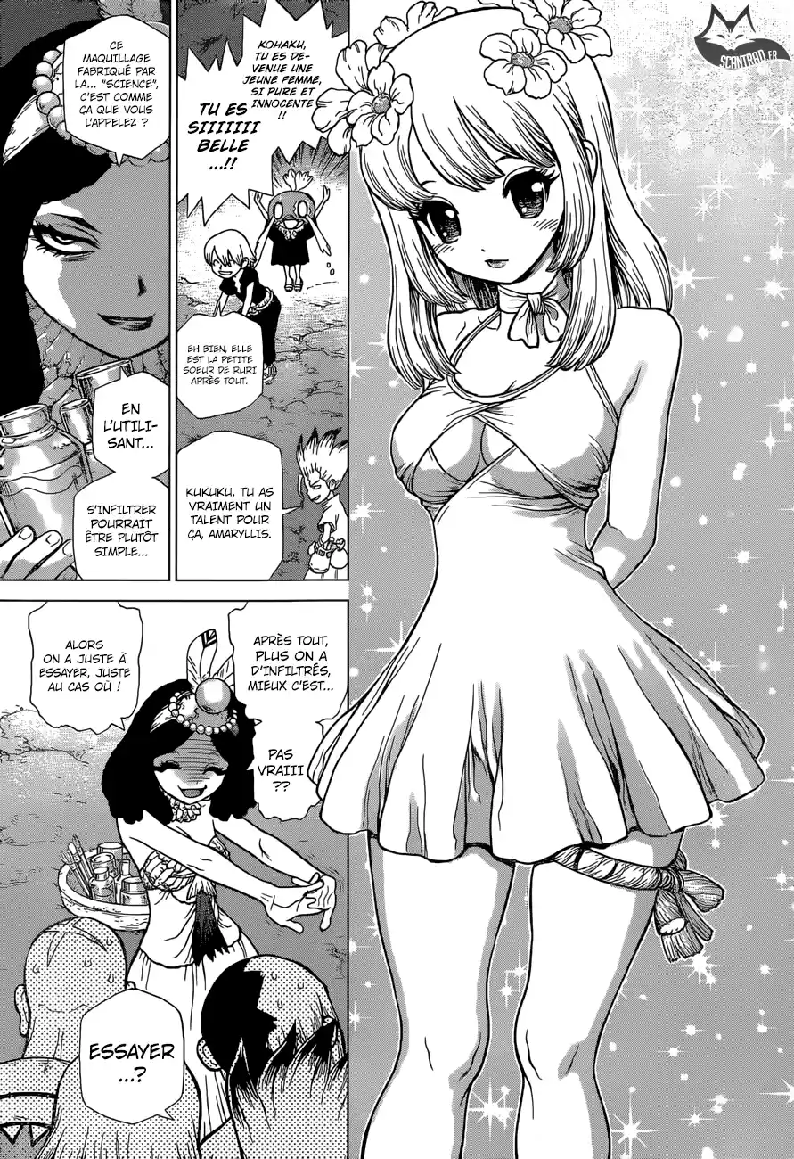 Read Dr. Stone FR Manga Online