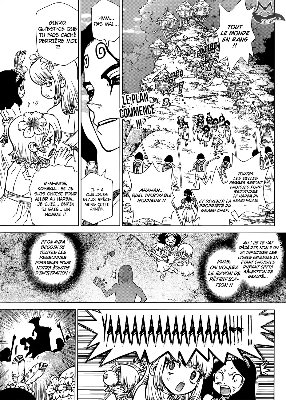 Read Dr. Stone FR Manga Online