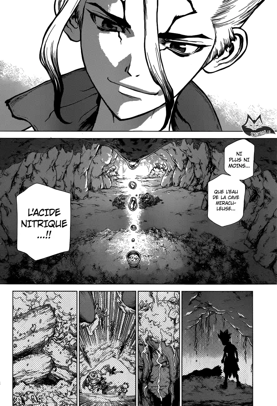 Read Dr. Stone FR Manga Online