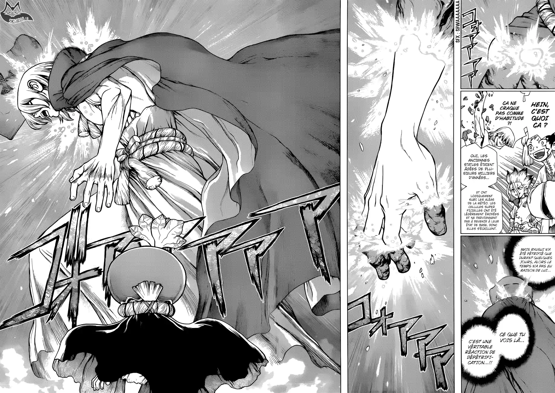 Read Dr. Stone FR Manga Online