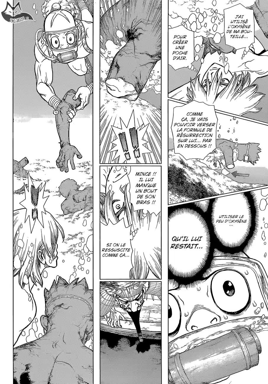 Read Dr. Stone FR Manga Online