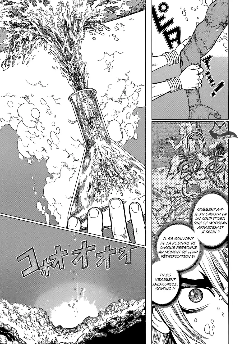 Read Dr. Stone FR Manga Online