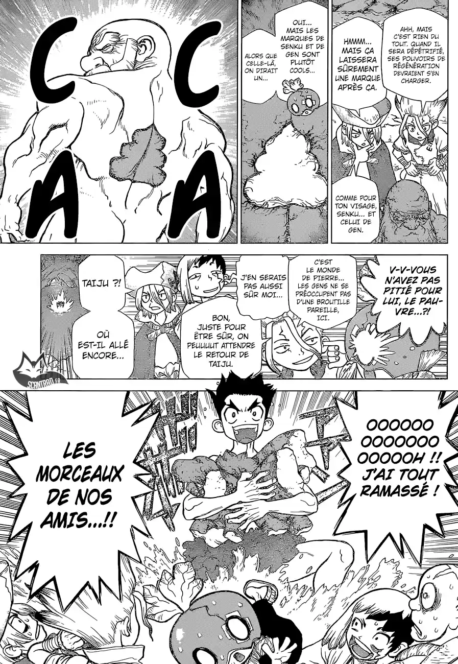 Read Dr. Stone FR Manga Online
