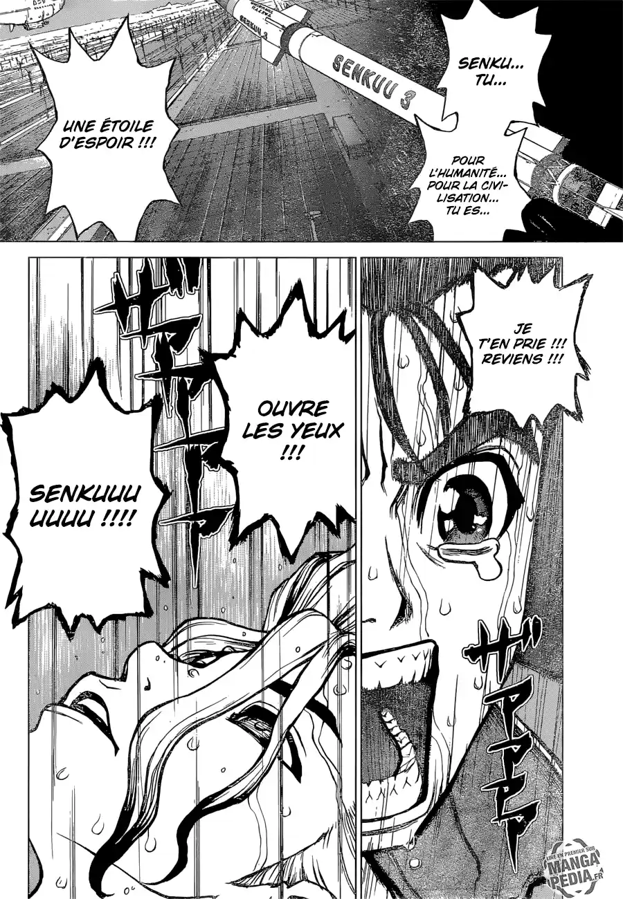 Read Dr. Stone FR Manga Online