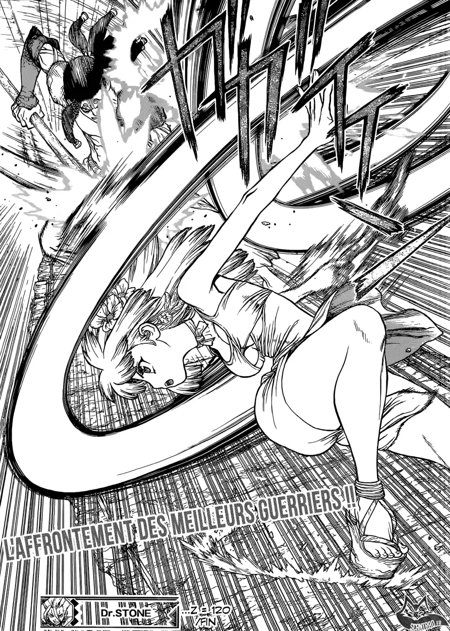Read Dr. Stone FR Manga Online