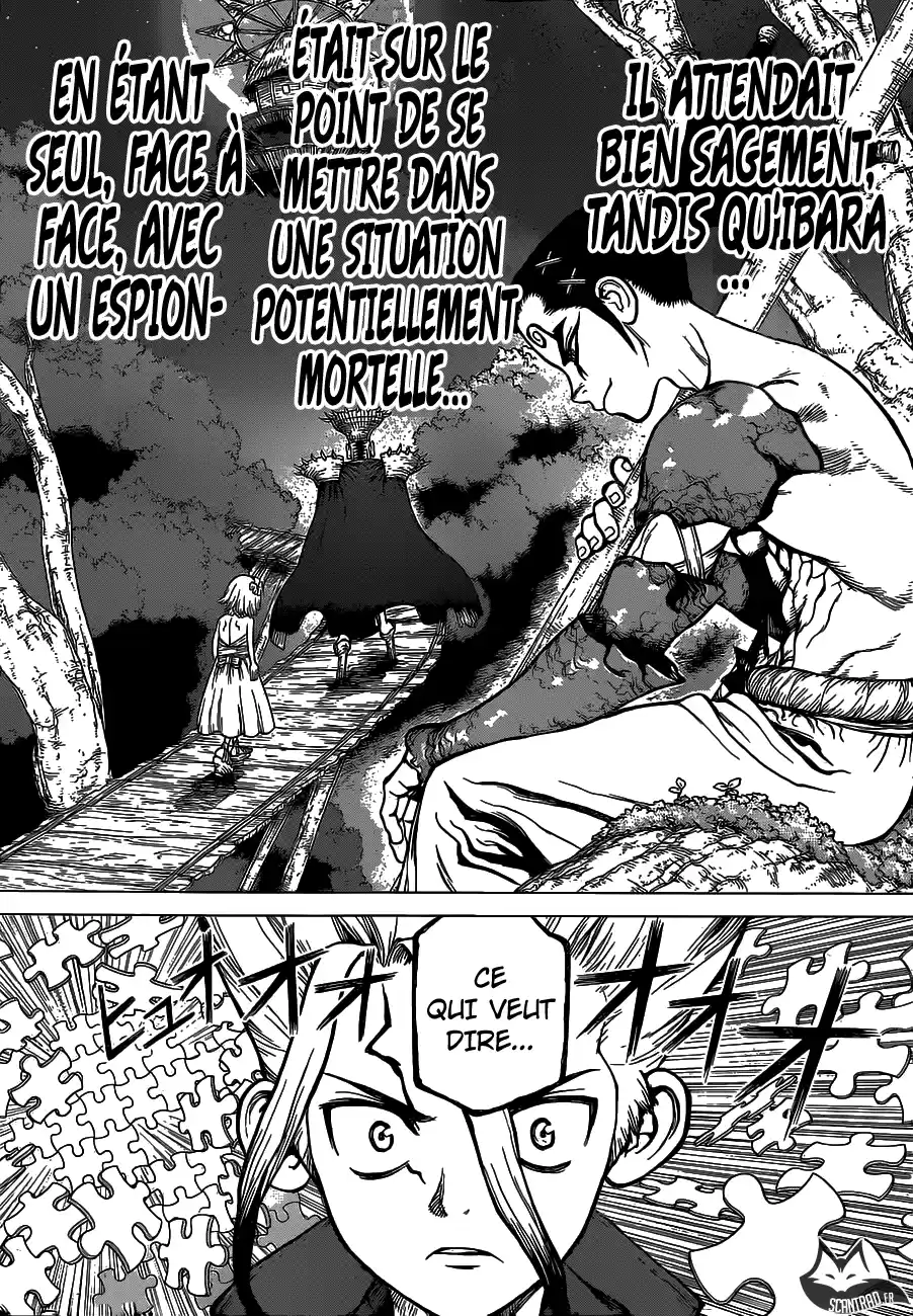 Read Dr. Stone FR Manga Online