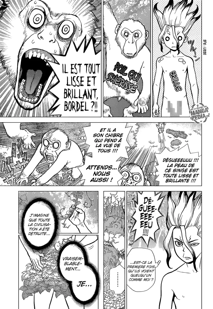 Read Dr. Stone FR Manga Online
