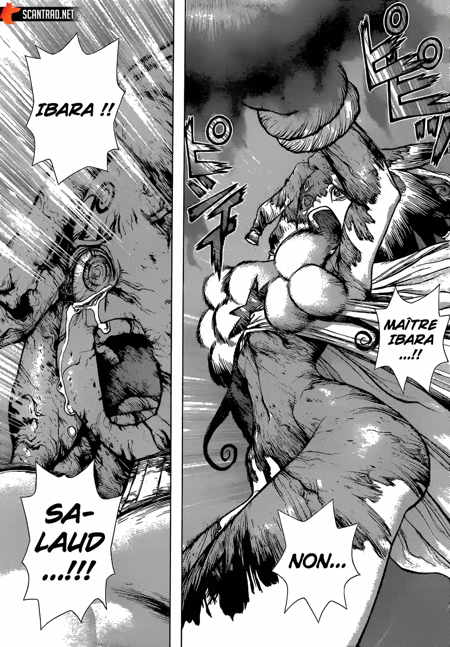 Read Dr. Stone FR Manga Online