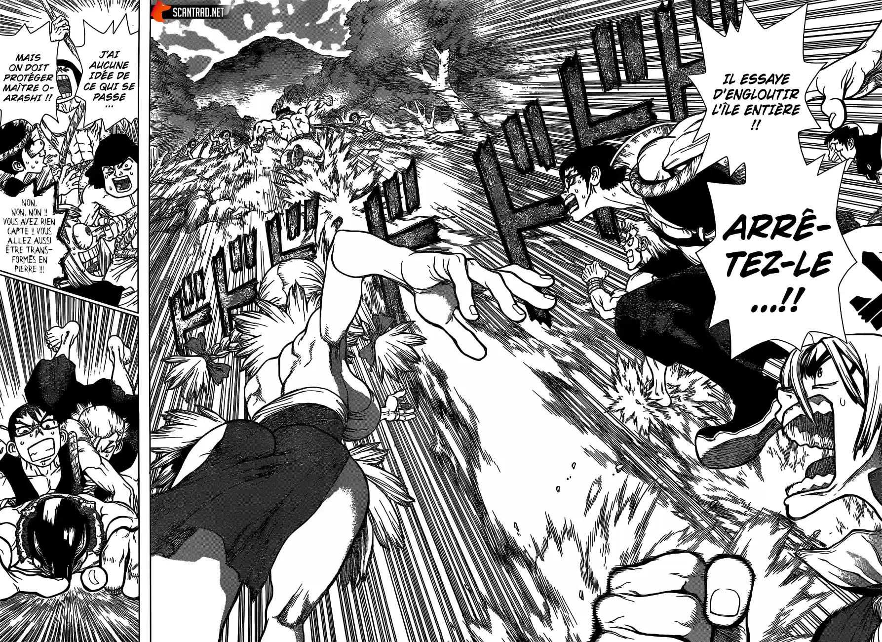 Read Dr. Stone FR Manga Online