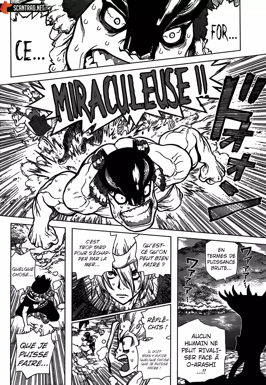 Read Dr. Stone FR Manga Online