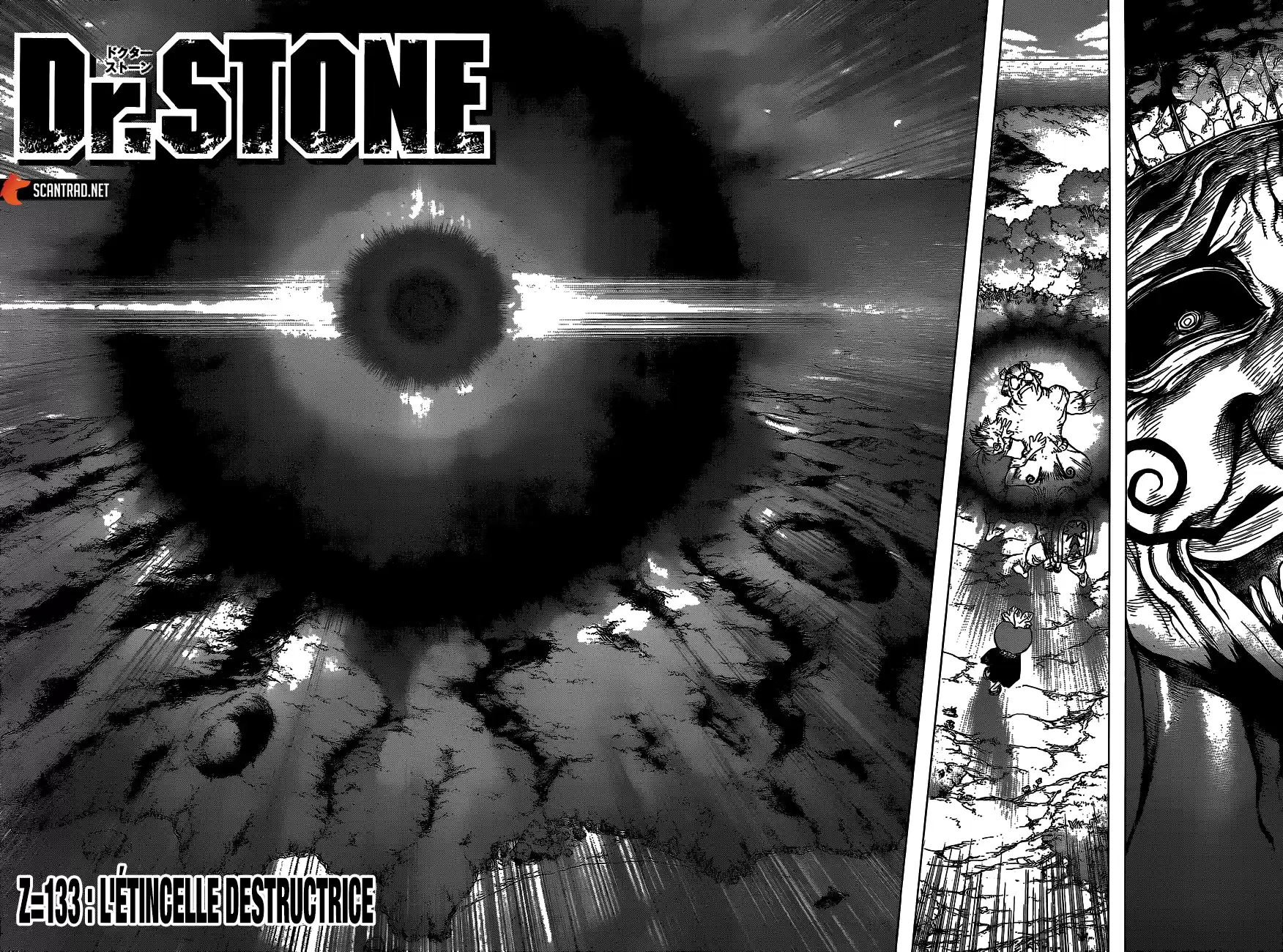 Read Dr. Stone FR Manga Online