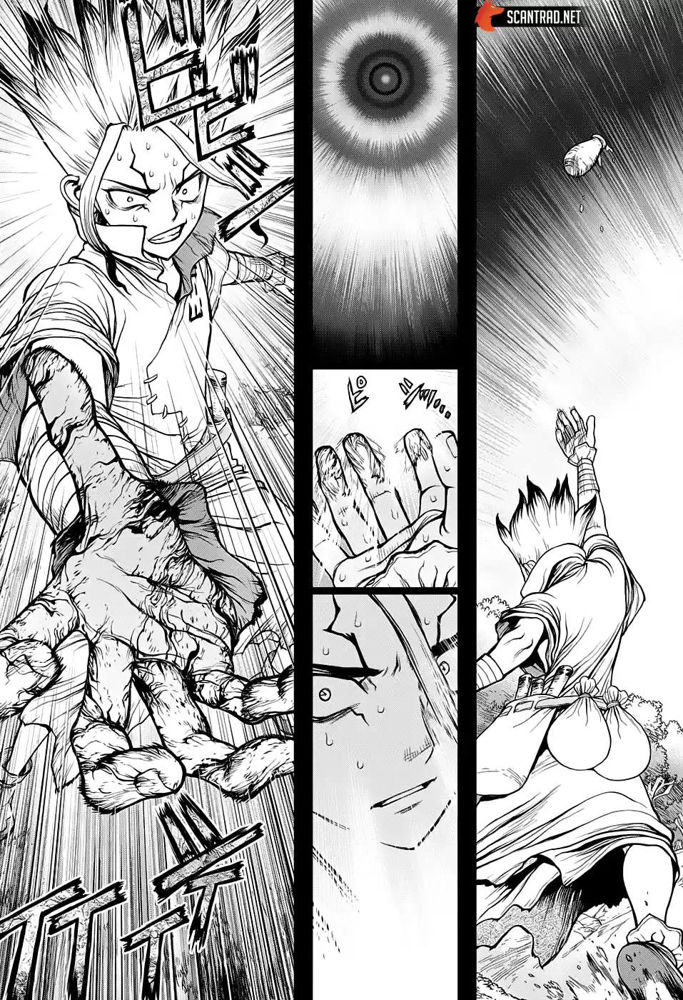 Read Dr. Stone FR Manga Online