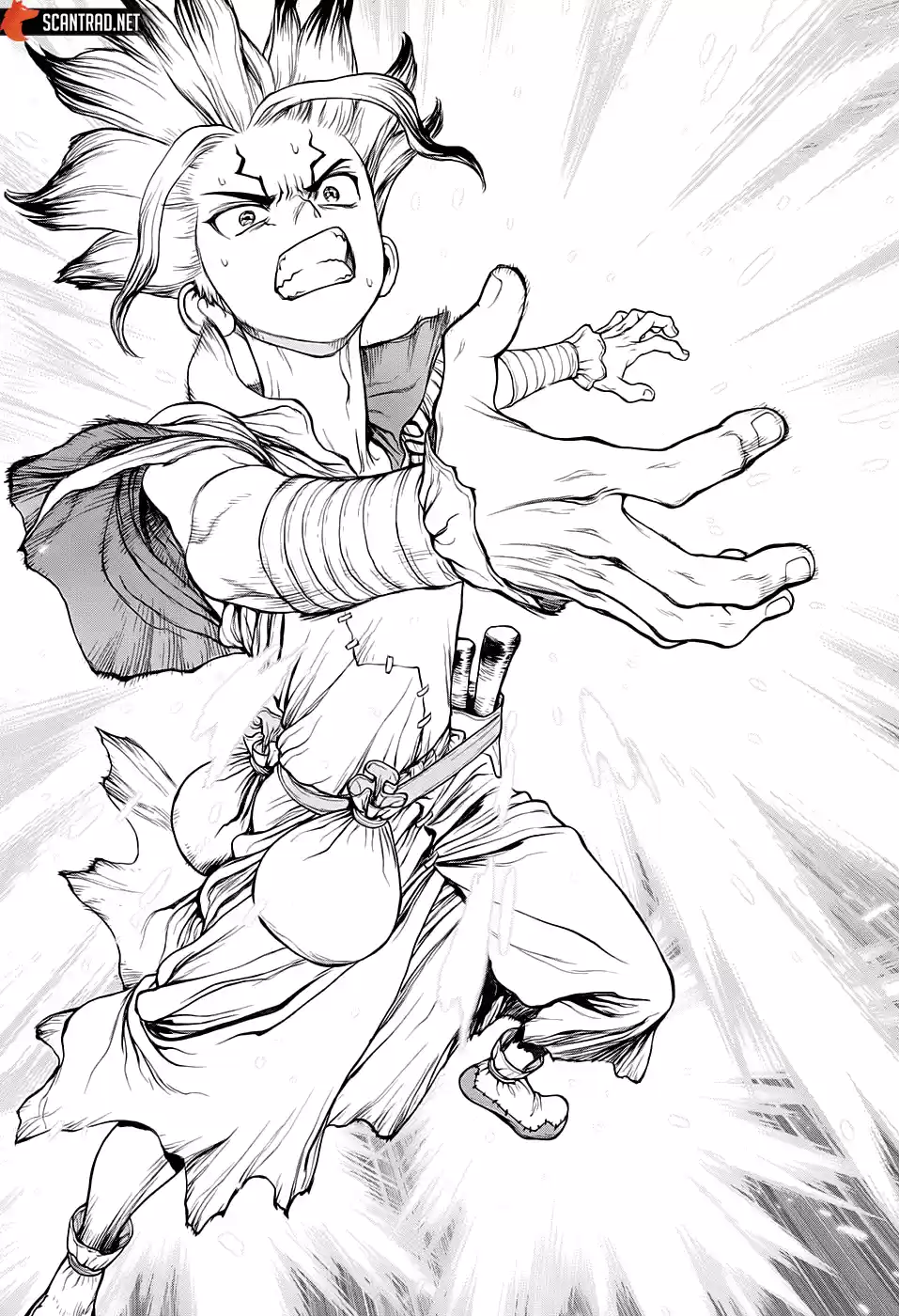 Read Dr. Stone FR Manga Online