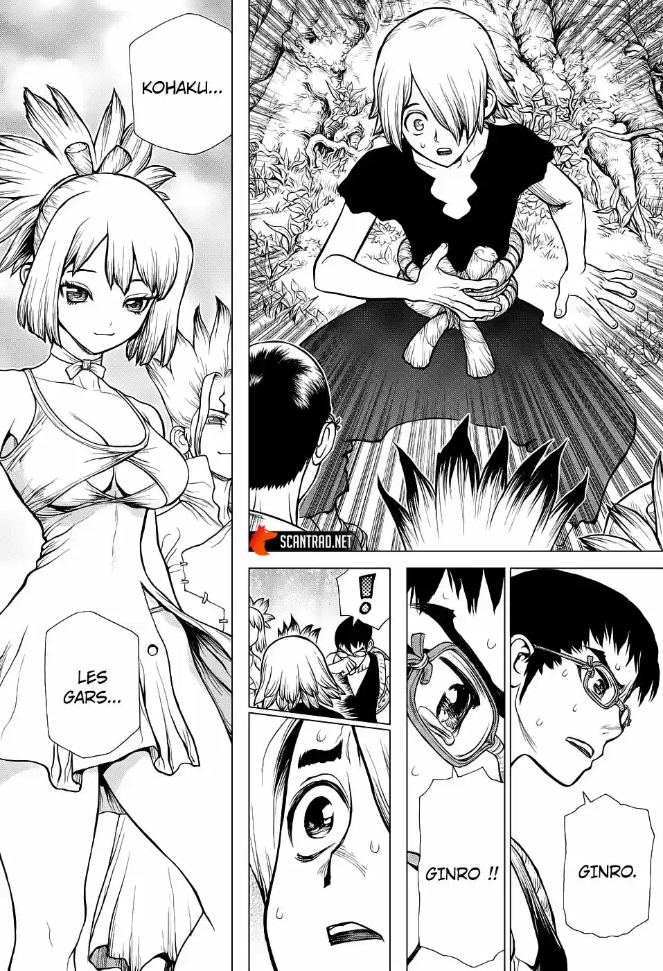 Read Dr. Stone FR Manga Online
